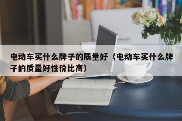 电动车买什么牌子的质量好（电动车买什么牌子的质量好性价比高）